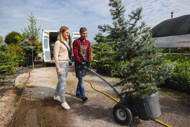 Reliable Woodbine, IA Tree Care Services Solutions